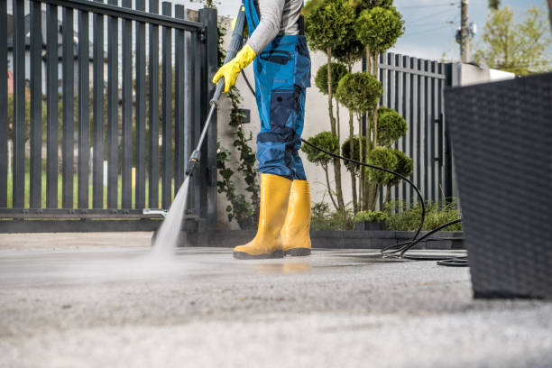 Best Pre-Holiday Cleaning  in Hemphill, TX
