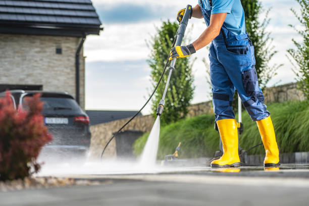 Best Roof Washing  in Hemphill, TX